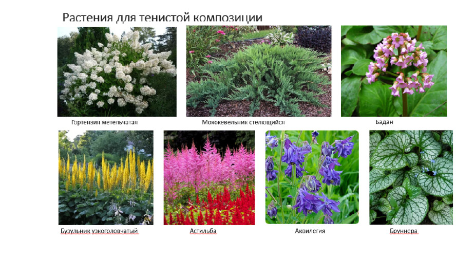 Дизайн загородного участка 3