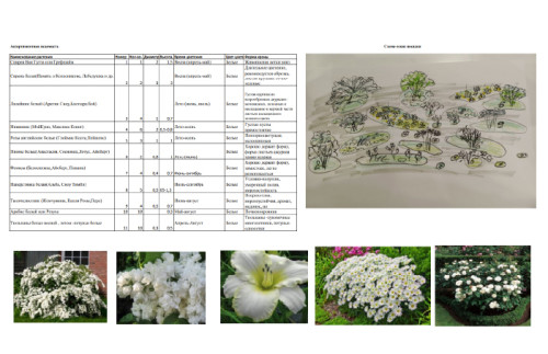 Ландшафтный дизайн 3